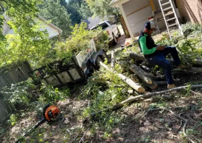 Dependable tree service