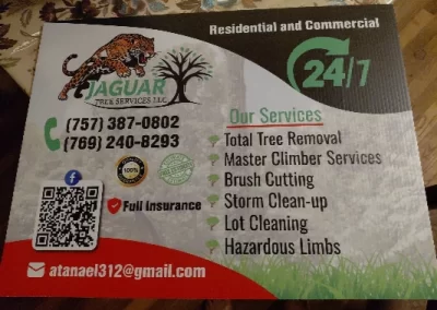 Great tree service
