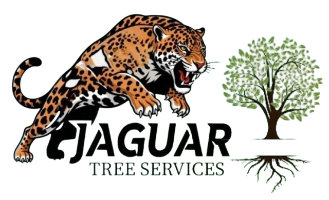 Jaguar Tree Services